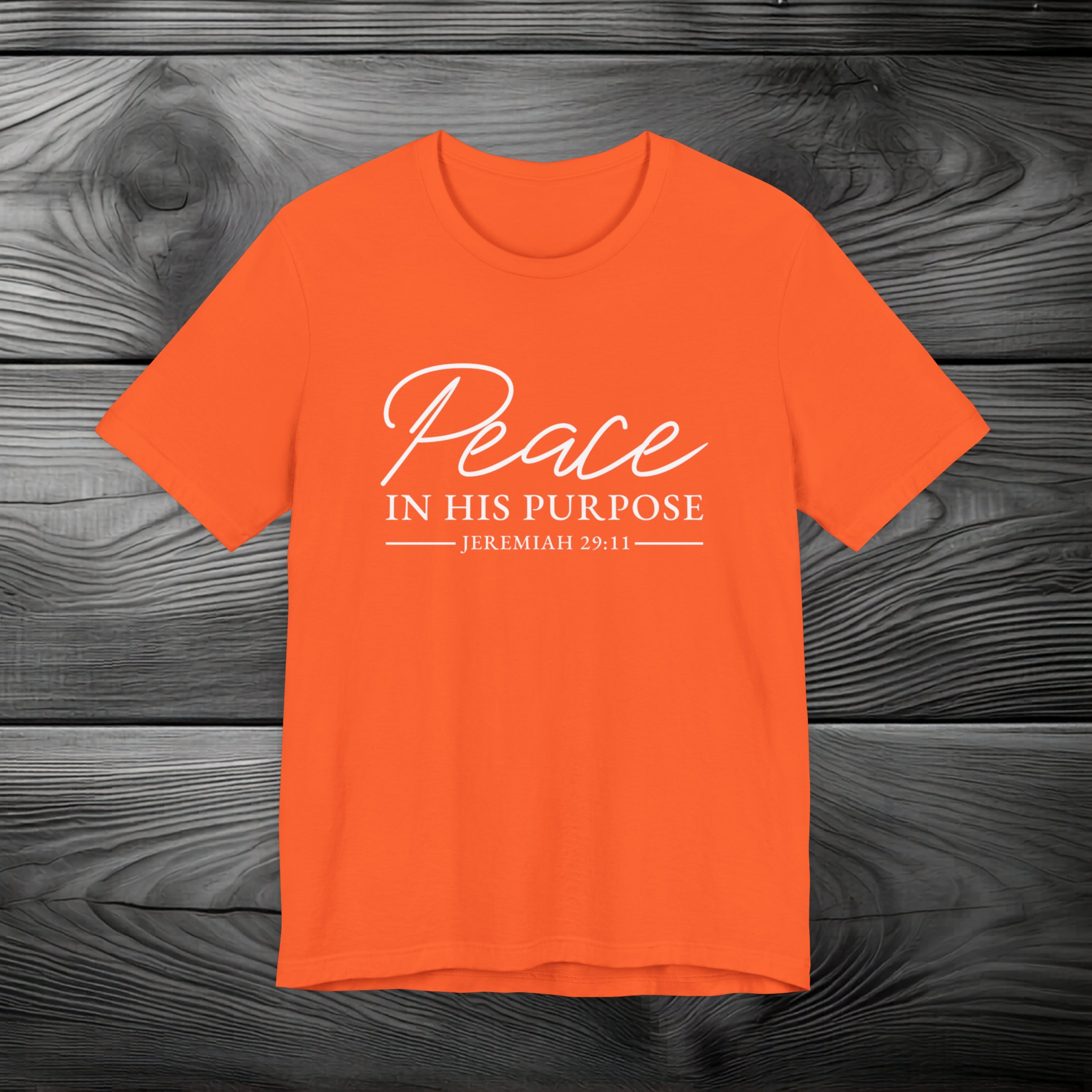 Peace in His Purpose Unisex Jersey Short Sleeve Tee