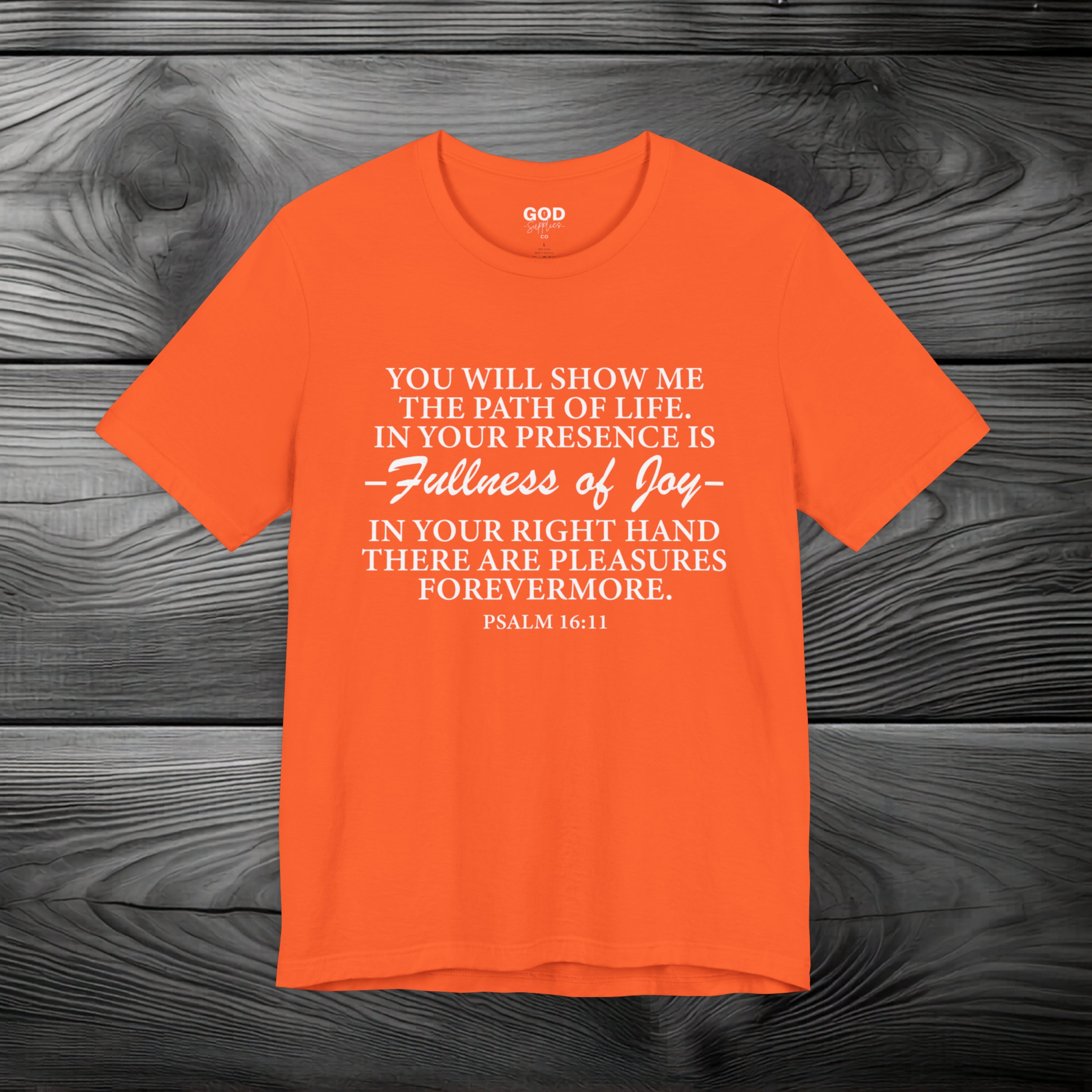 Joy In GOD's Presence Unisex Jersey Short Sleeve Tee
