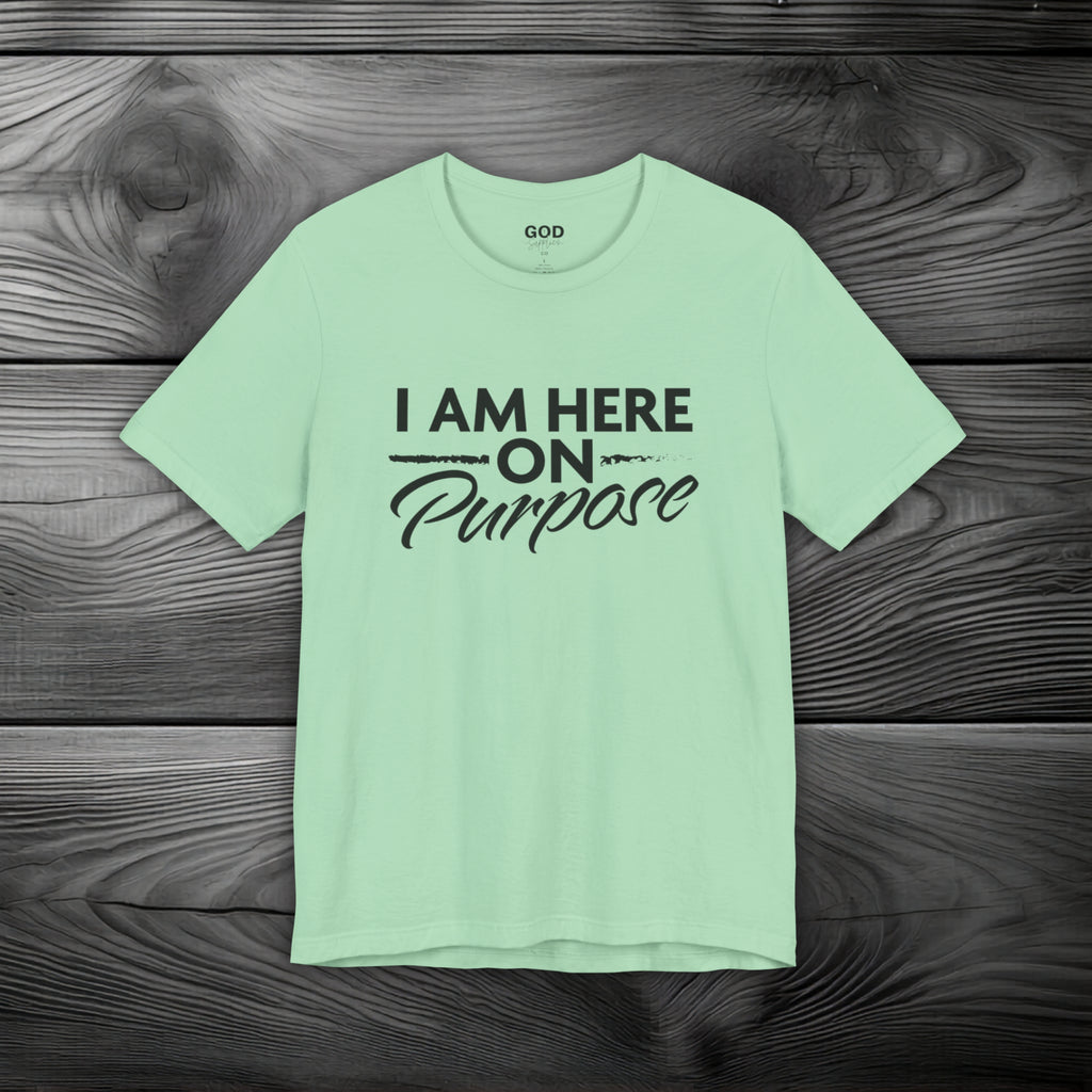 I Am Here on Purpose Unisex Jersey Short Sleeve Tee