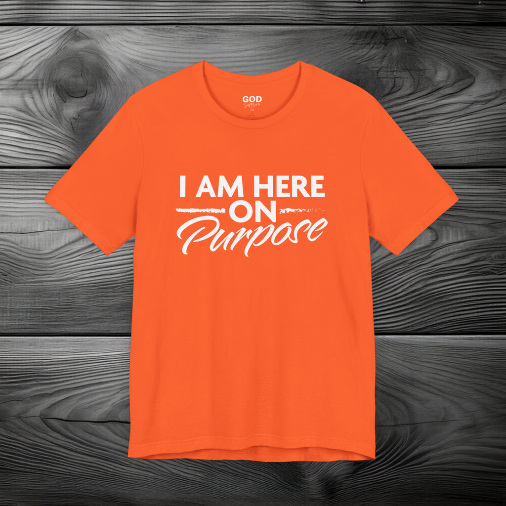 I Am Here on Purpose Unisex Jersey Short Sleeve Tee