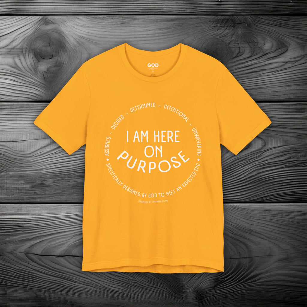I Am Here On Purpose Unisex Jersey Short Sleeve Tee