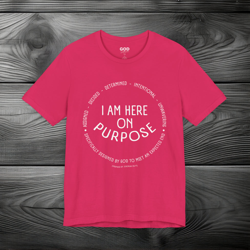 I Am Here On Purpose Unisex Jersey Short Sleeve Tee
